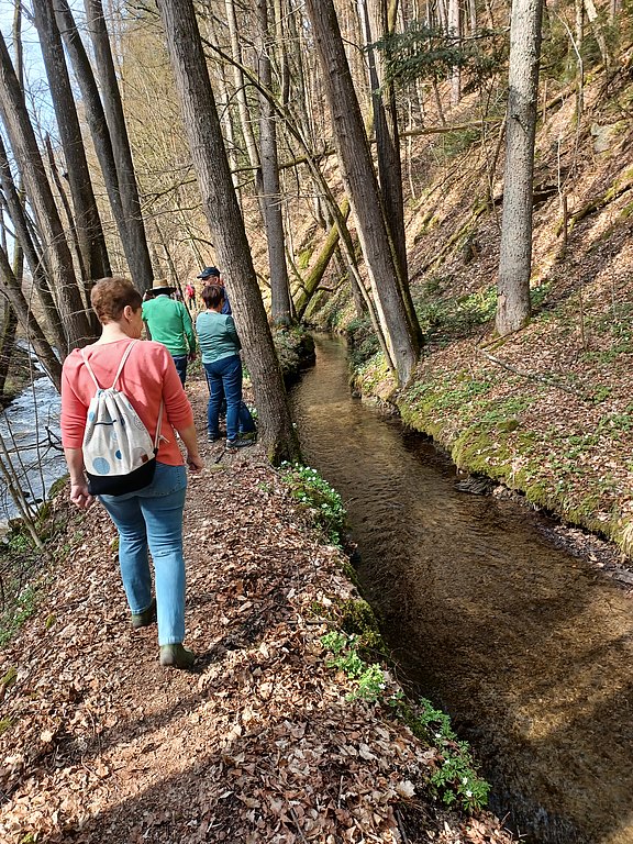 gemütlich durch den Wald 20230323_140125__002_.jpg
